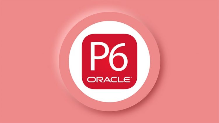 مدیریت پروژه با نرم افزار پریماورا