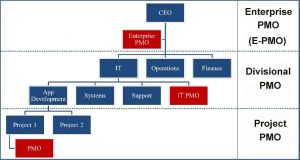انواع نقش های PMO در سطوح سازمان
